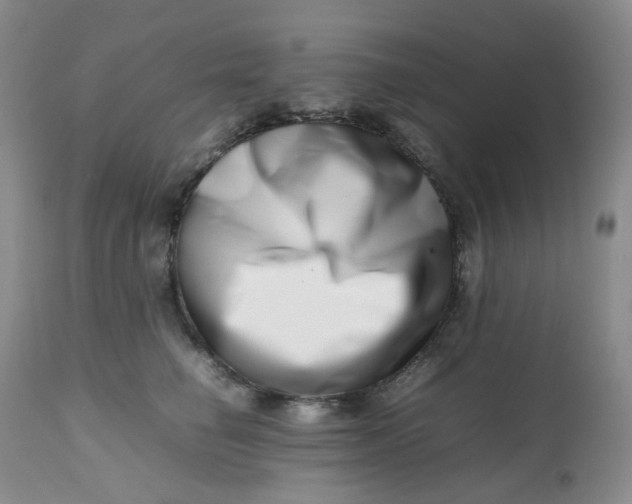 X0000112810662200909111300