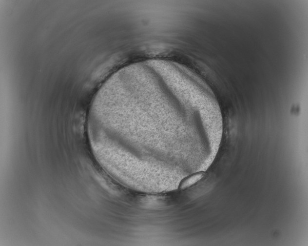 X0000112810664200909111300