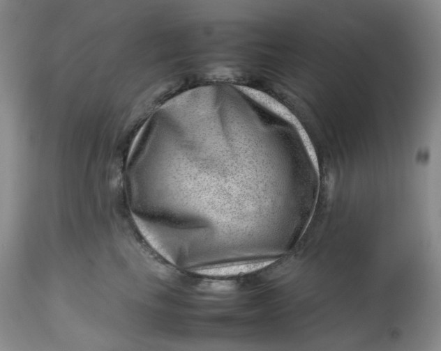 X0000112810665200909111300