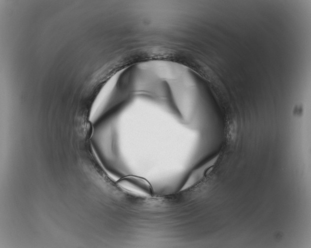 X0000112810666200909111300