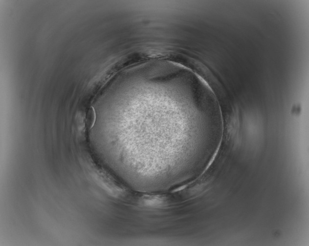 X0000112810667200909111300