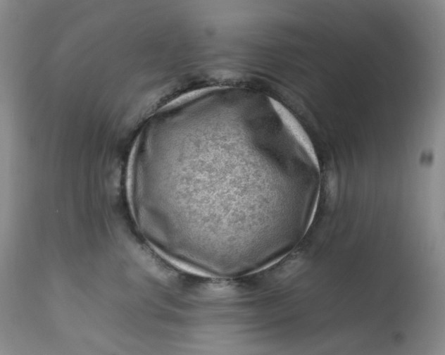 X0000112810668200909111300