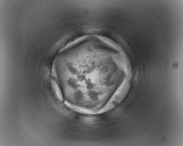 X0000112810669200909111300