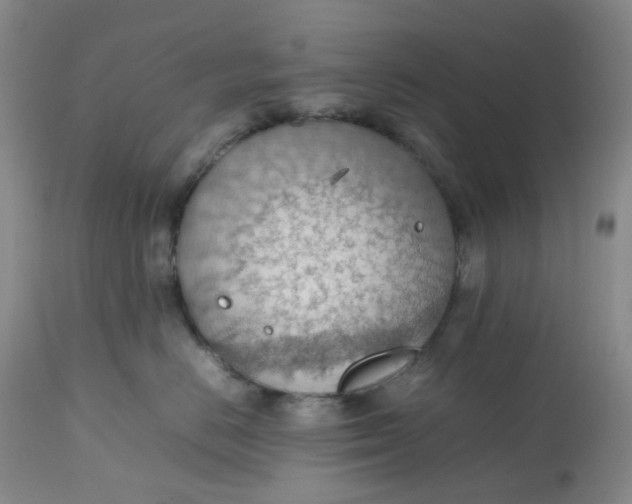 X0000112810670200909111300