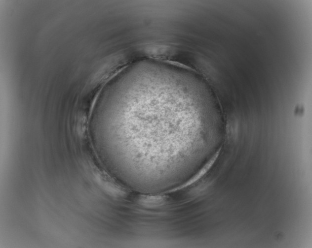 X0000112810671200909111300