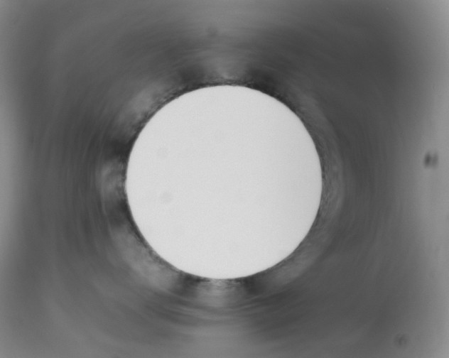 X0000112810672200909111300