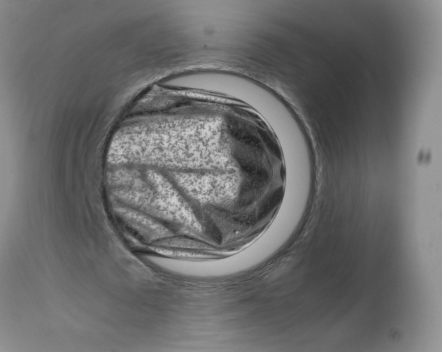 X0000112810673200909111300