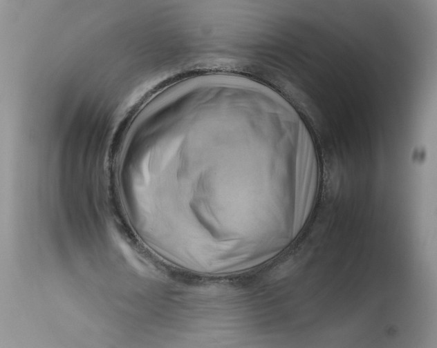 X0000112810674200909111300