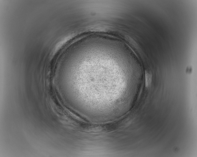 X0000112810675200909111300