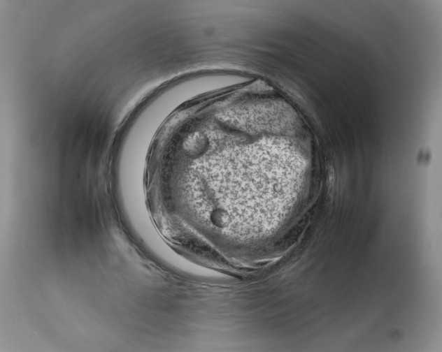 X0000112810676200909111300