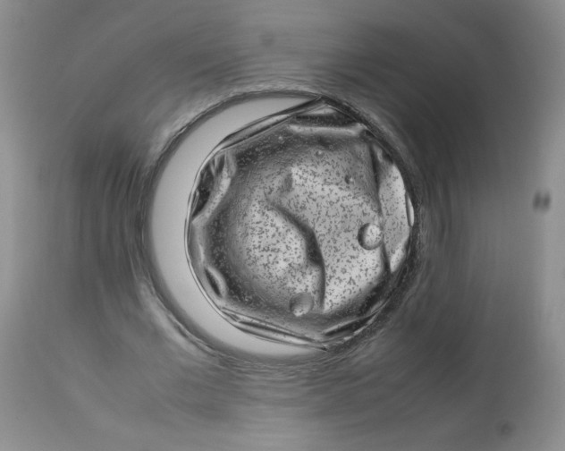 X0000112810677200909111300