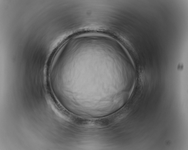 X0000112810678200909111300