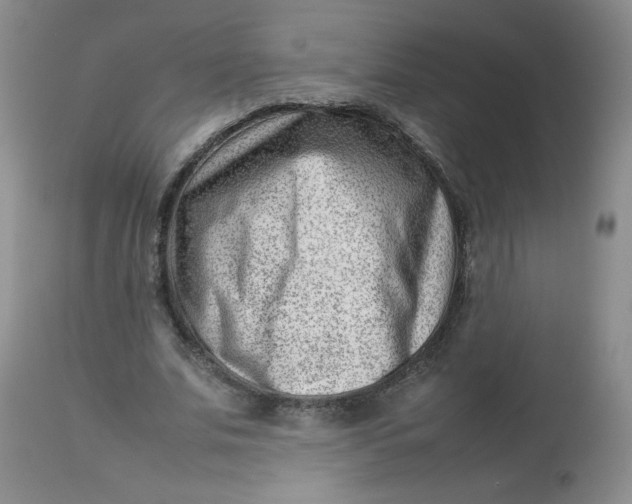 X0000112810679200909111300