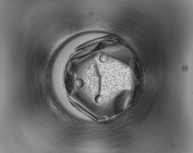 X0000112810680200909111300