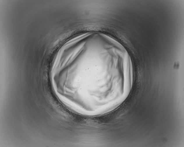 X0000112810681200909111300