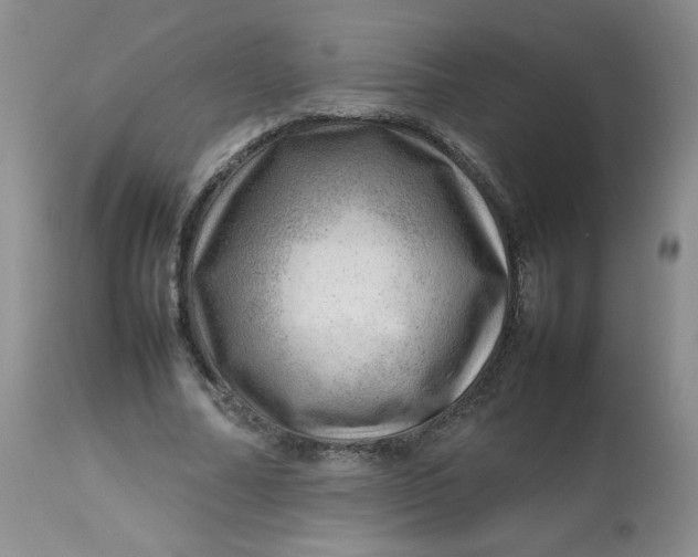 X0000112810682200909111300