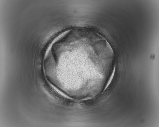 X0000112810683200909111300