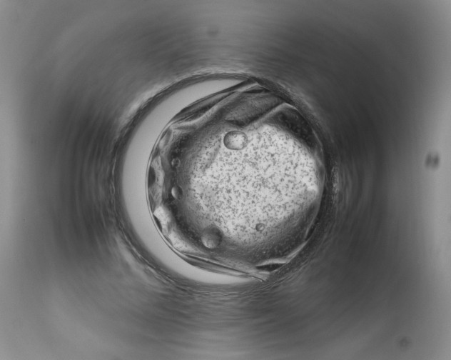 X0000112810684200909111300