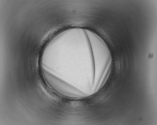 X0000112810686200909111300