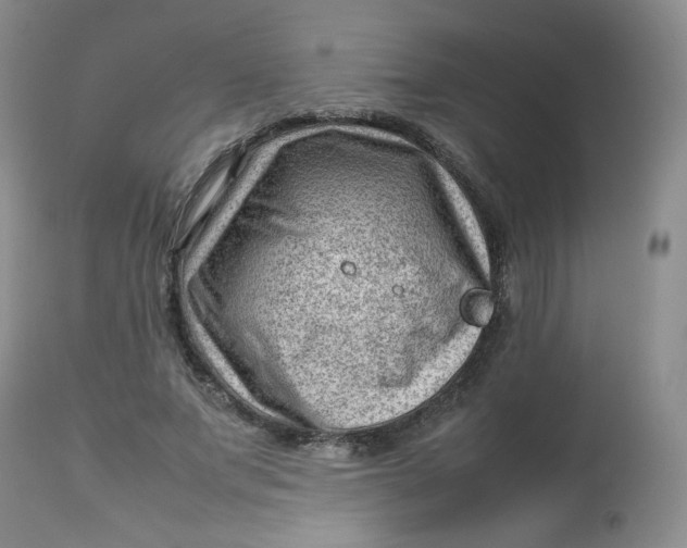 X0000112810687200909111300