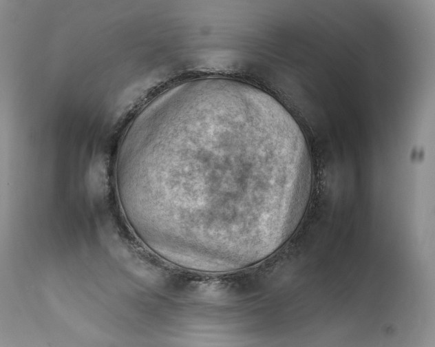 X0000112810688200909111300