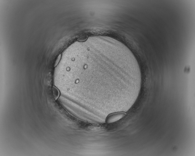 X0000112810689200909111300