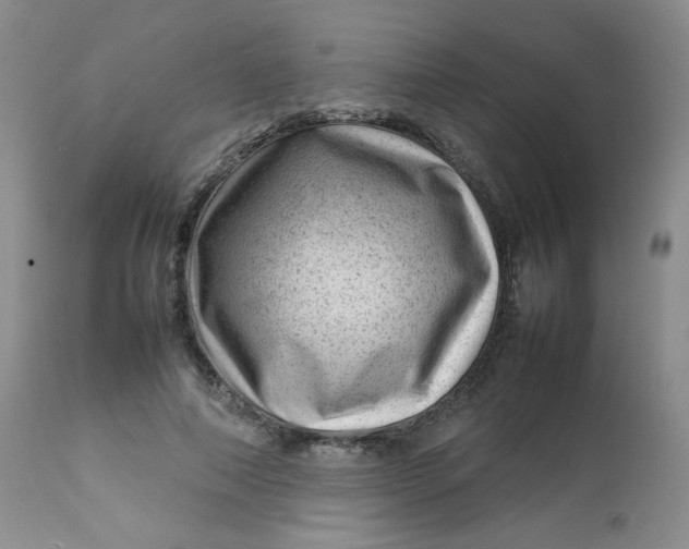 X0000112810690200909111300