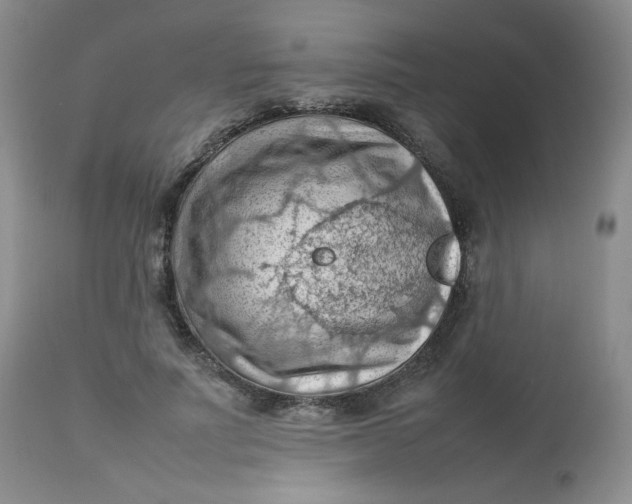 X0000112810691200909111300