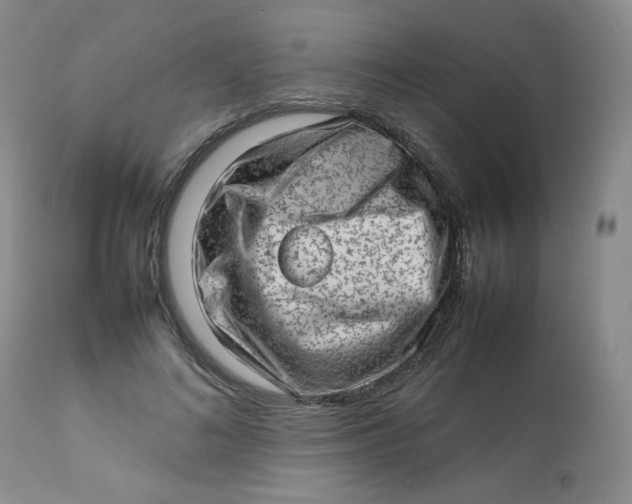 X0000112810692200909111300