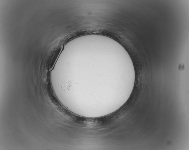 X0000112810693200909111300