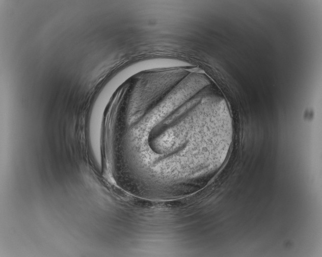 X0000112810696200909111300