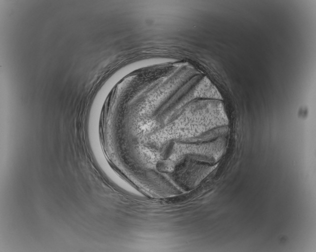 X0000112810697200909111259