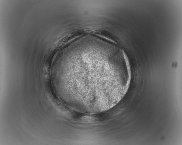 X0000112810699200909111259