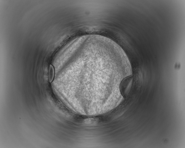 X0000112810700200909111259