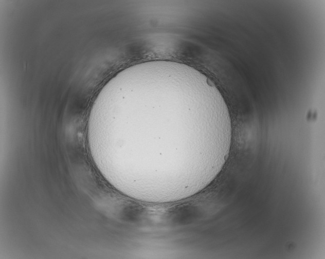 X0000112810701200909111259