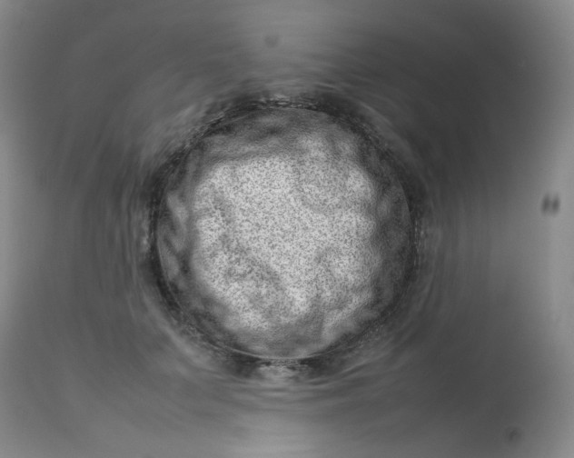 X0000112810703200909111259