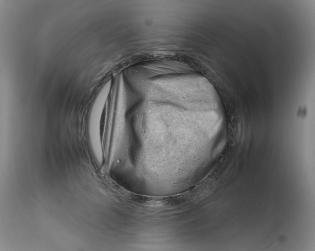 X0000112810704200909111259