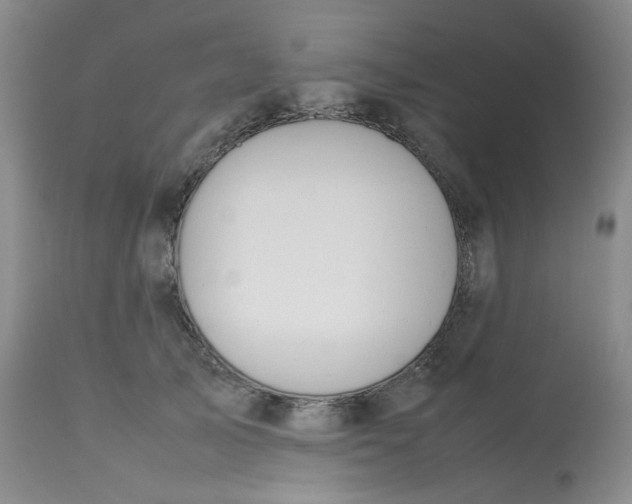 X0000112810705200909111259