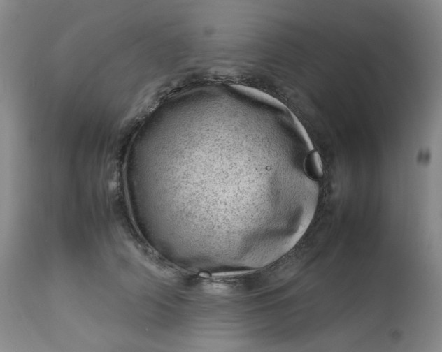 X0000112810706200909111259