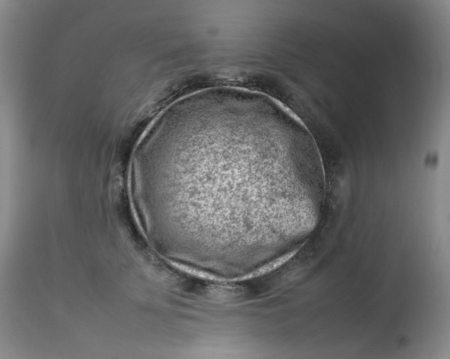 X0000112810707200909111259