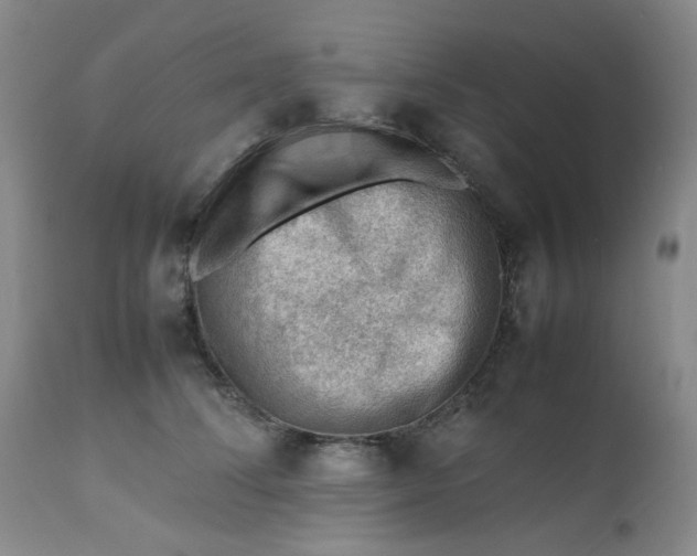 X0000112810708200909111259