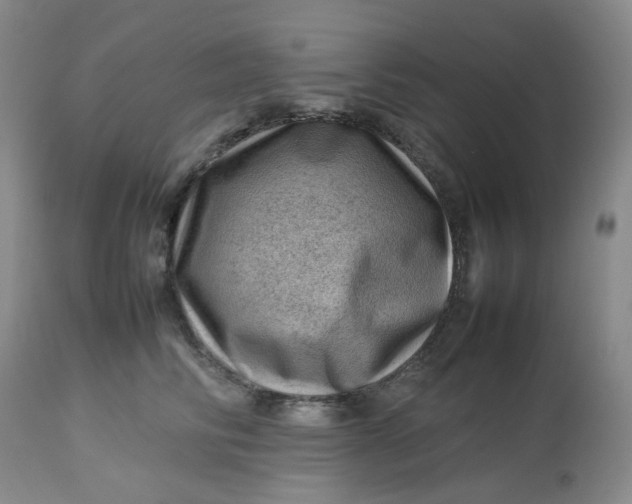 X0000112810710200909111259