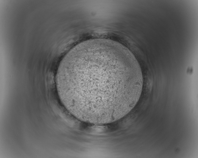 X0000112810711200909111259