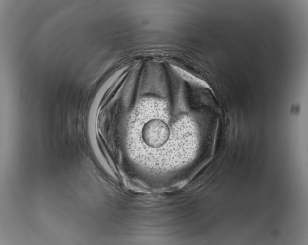 X0000112810712200909111259