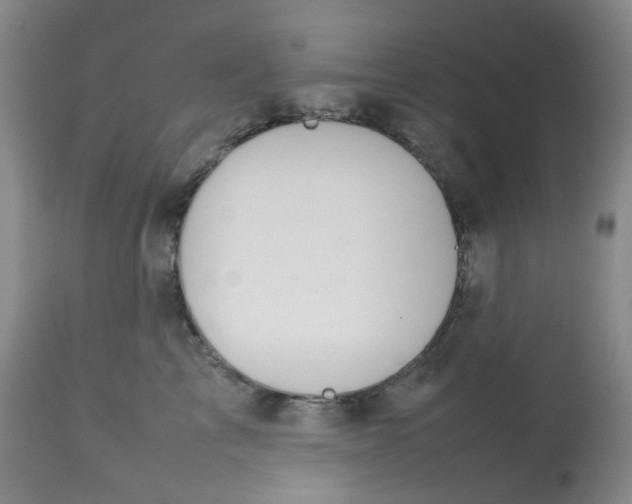 X0000112810713200909111259