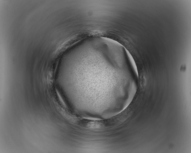 X0000112810714200909111259