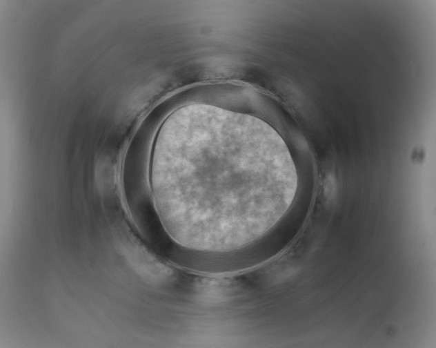 X0000112810716200909111259