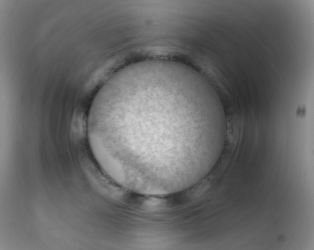 X0000112810718200909111259