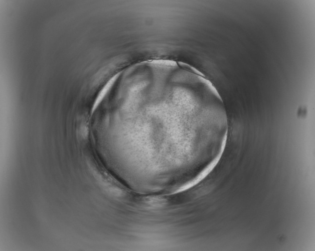 X0000112810719200909111259