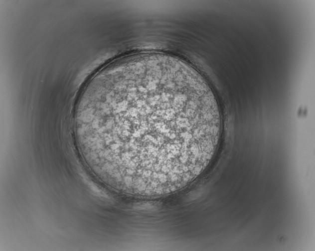 X0000112810721200909111259